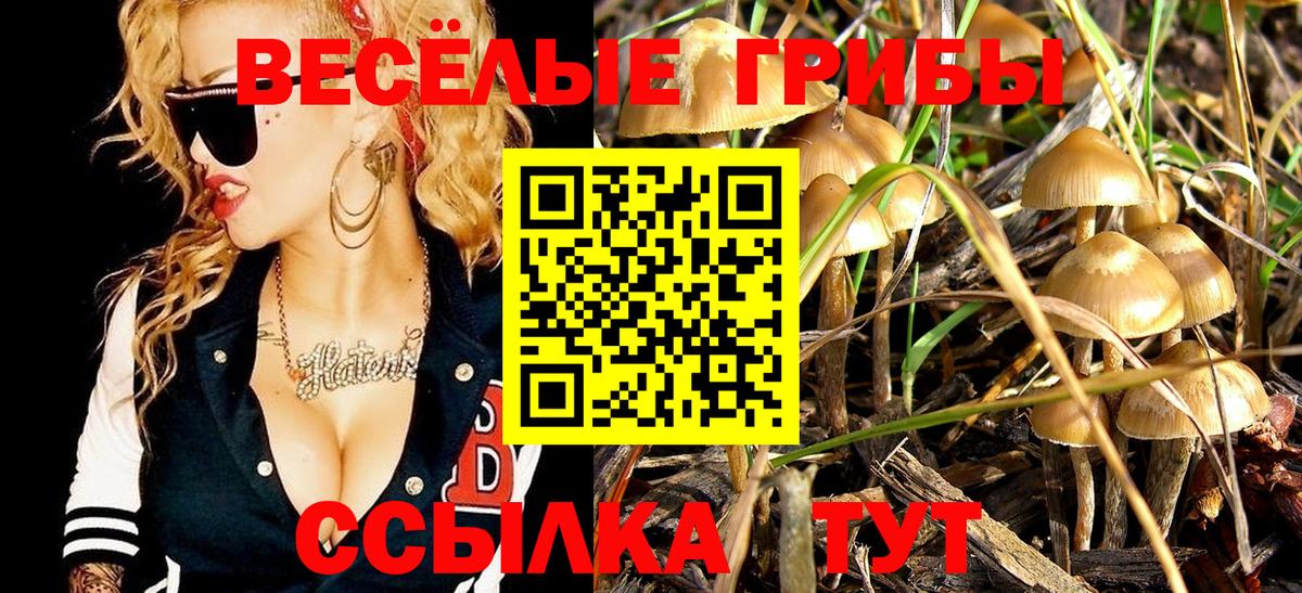 Галлюциногенные грибы мицелий Печора
