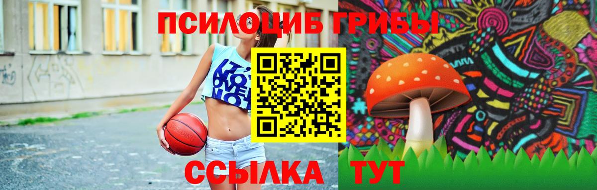 магазин  наркотиков  Вход с VPN  Печора  Псилоцибиновые грибы Psilocybe 